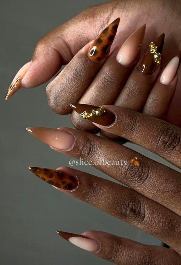 Cocoa Shell