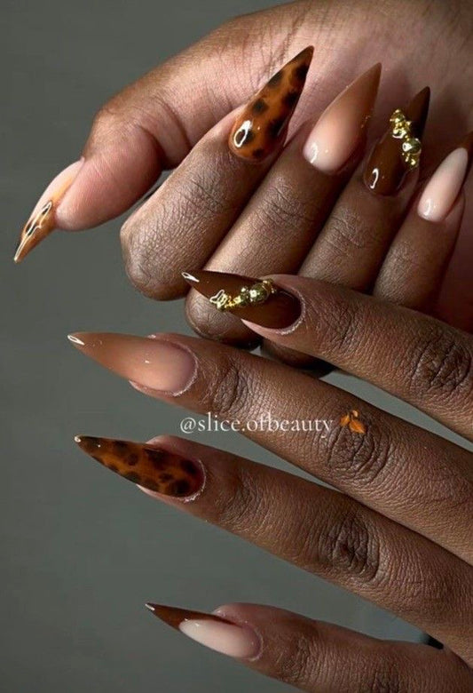 Cocoa Shell